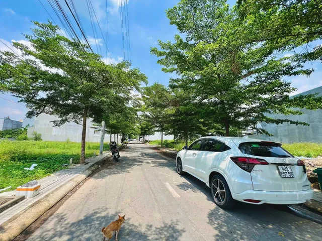 Đất nền ngay ngã tư Tân triều cách KDL Bửu Long 5 phút giá chỉ 1 tỷ hơn