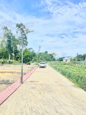 Bán Đất 100m2 có sẵn 80 m2 thổ cư giá 370 triệu tại Đường Trần Quang Diệm Phường Hương Xuân Thị xã Hương Trà Thừa Thiên Huế