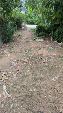 Bán Đất 155m2 có sẵn 155 m2 thổ cư giá 900 triệu tại Xã Hòa An Thành phố Cao Lãnh Đồng Tháp