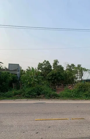 BÁN ĐẤT MẶT ĐƯỜNG QUỐC LỘ 18A,ĐẦM HÀ,QUẢNG NINH