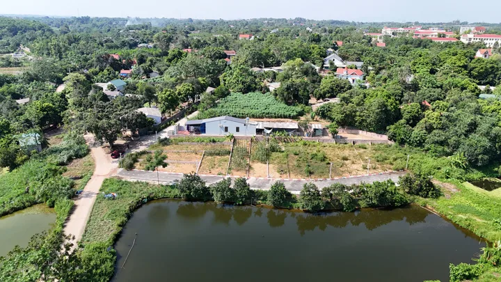 Bán đất tại Phùng Hưng, Cẩm Lĩnh, Ba Vì, giá tốt 965 triệu, 101m2 full thổ cư