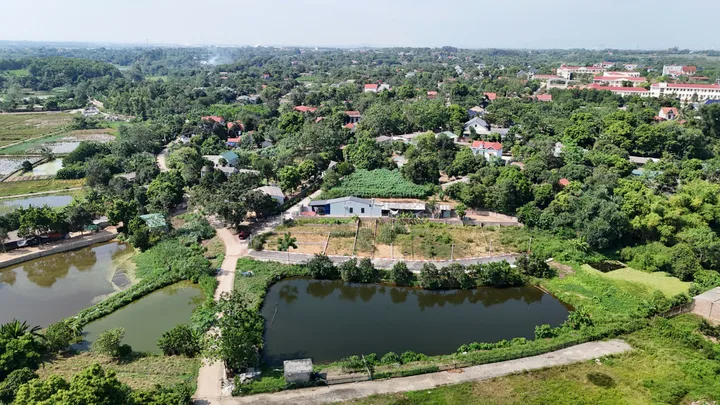 Bán đất tại Phùng Hưng, Cẩm Lĩnh, Ba Vì, giá tốt 965 triệu, 101m2 full thổ cư