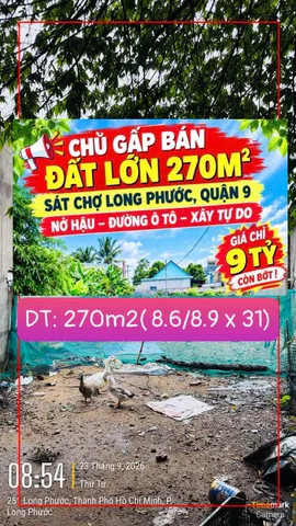 🆘 ĐẤT LỚN 270M² - SÁT CHỢ LONG PHƯỚC, QUẬN 9 - NGANG 8,9M NỞ HẬU – ĐƯỜNG Ô TÔ – XÂY TỰ DO ❗️