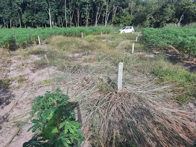 Bán Đất 257.1m2 có sẵn 100 m2 thổ cư giá 950 triệu tại Xã Minh Thắng Thị xã Chơn Thành Bình Phước