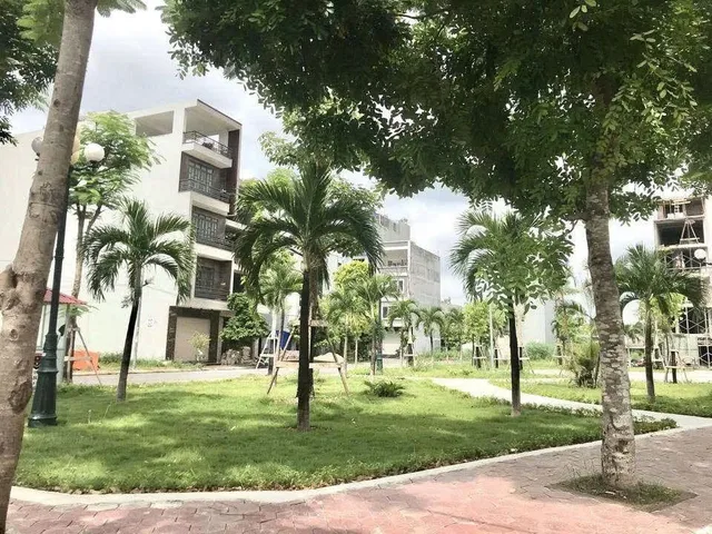 CHÀO BÁN LÔ MẶT VƯỜN HOA CỰC HIẾM – KHU ĐÔ THỊ MỚI SỞ DẦU, HỒNG BÀNG ( SAU SỞ TÀI CHÍNH )