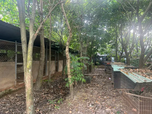 Bán Đất 1903.4m2 giá 19 tỷ tại Đường Nhị Bình 18 - Chọn - Xã Đông Thạnh TP. Hồ Chí Minh