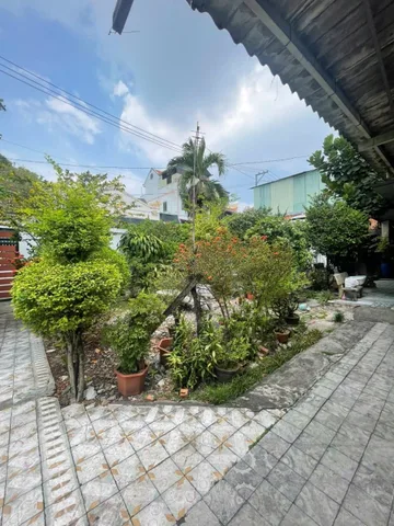 Bán Đất 443m2 có sẵn 443 m2 thổ cư giá 31.5 tỷ tại Đường Số 8 Phường Tam Phú Quận Thủ Đức TP. Hồ Chí Minh