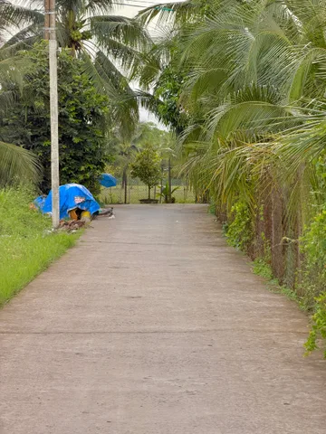 🔥 BÁN KHUÔN ĐẤT LỚN PHƯỚC THẠNH – GẦN ĐƯỜNG BÀ TƯ GẠO