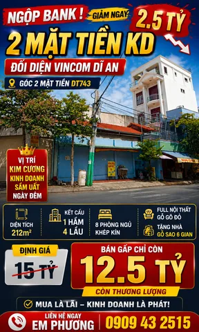 Bán Nhà riêng 212m2 có sẵn 166 m2 thổ cư giá 12.5 tỷ tại Đường ĐT743 Phường Dĩ An Thành phố Dĩ An Bình Dương