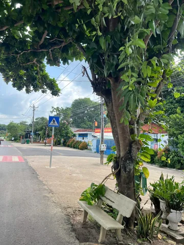 Bán Đất 299m2 có sẵn 100 m2 thổ cư giá 450 triệu tại Xã An Long Huyện Phú Giáo Bình Dương
