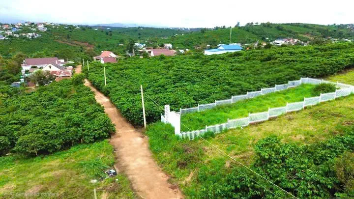 Đất 365m2 có sẵn 100tc  giá 1.7 tỷ tại thôn 7 Tân Châu