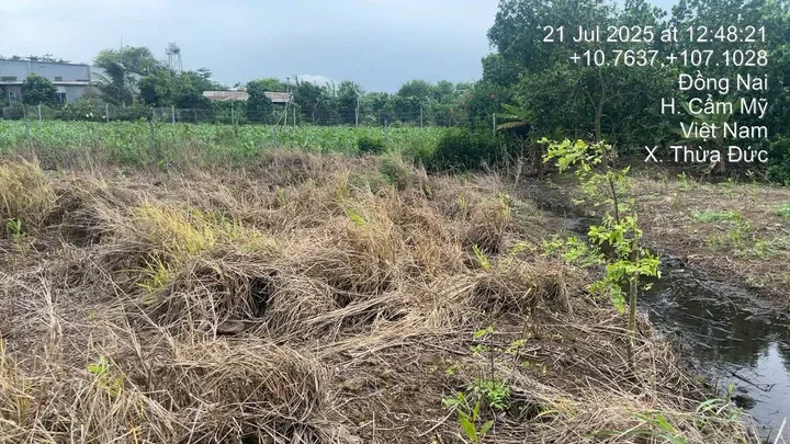 Bán Đất 1300m2 giá 2 tỷ tại - Chọn - Xã Cẩm Mỹ Đồng Nai