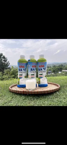Bán Đất 123m2 có sẵn 123 m2 thổ cư giá 800 triệu tại Xã Cẩm Lĩnh Huyện Ba Vì Hà Nội