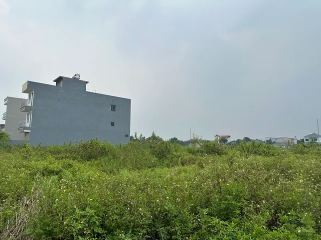 Bán Đất 100m2 có sẵn 100 m2 thổ cư giá 8.2 tỷ tại Xã Tiến Xuân Huyện Thạch Thất Hà Nội