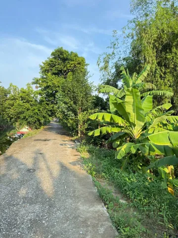 ❌❌ HÀNG GẦN 100M² BẮC SƠN – AN DƯƠNG | GIÁ 1,3X TỶ – ĐƯỜNG THÔNG 4–5M ❌❌