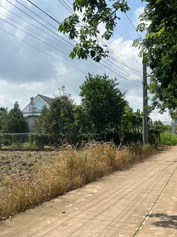 Bán Đất 299m2 có sẵn 100 m2 thổ cư giá 190 triệu tại Xã An Linh Huyện Phú Giáo Bình Dương