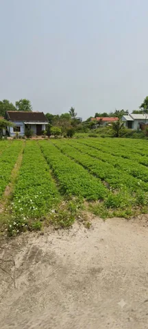 Bán đất gần đường duy tân 📌📌📌Làm việc trực tiếp giá tốt !!!