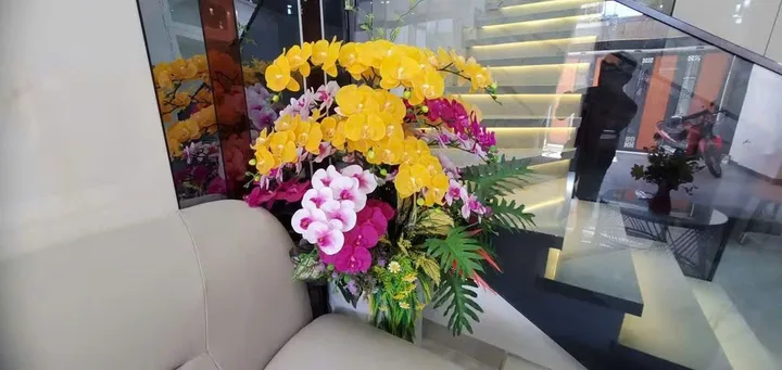 Bán nhà nguyễn công hoan 📌📌📌Làm việc trực tiếp giá tốt !!!