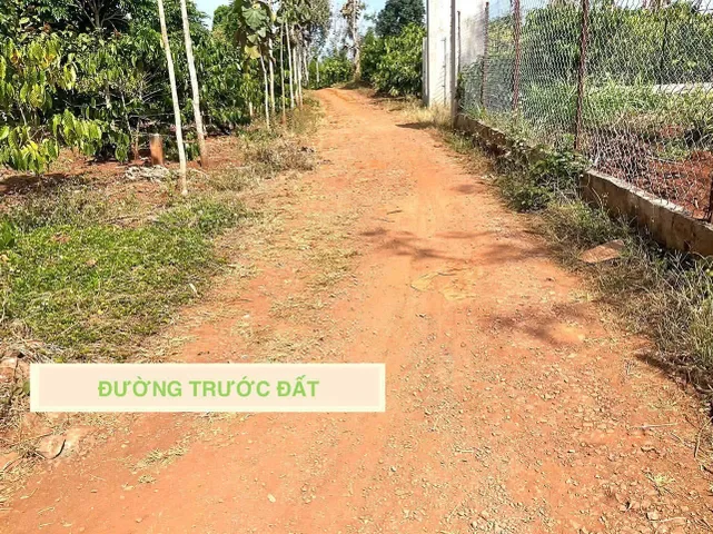 Bán Đất 234m2 có sẵn 60 m2 thổ cư giá 239 triệu tại Xã Quảng Hiệp Huyện Cư M'gar Đắk Lắk