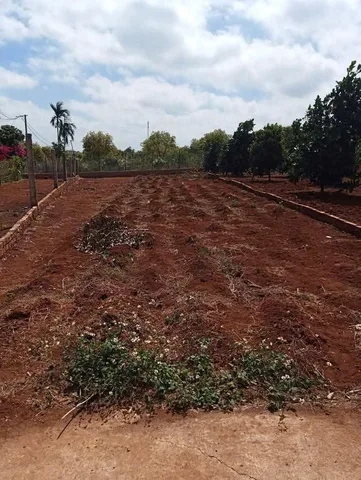 Bán Đất 172m2 có sẵn 50 m2 thổ cư giá 1 tỷ tại Thị trấn Phước An Huyện Krông Pắc Đắk Lắk