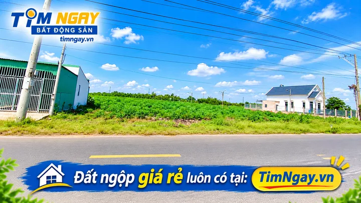 BÁN 2 SÀO ĐẤT 2.000M2 CÓ SHR, DÂN ĐÔNG GẦN TỈNH LỘ