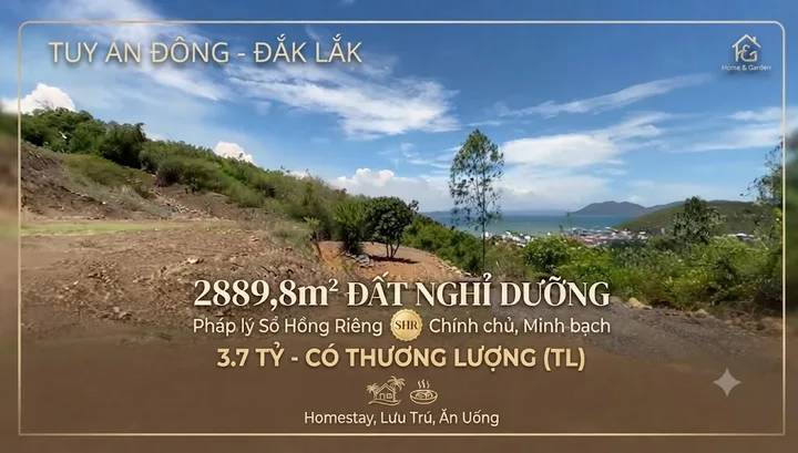 Bất động sản tọa lạc tại thôn Phú Hạnh, xã Tuy An Đông, tỉnh Đắk Lắk