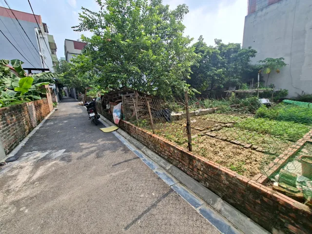 Bán Đất 62m2 giá 4.8 tỷ tại Xã Nam Hồng Huyện Đông Anh Hà Nội. Thông ô tô 20m ra đường bìa làng QH đẹp