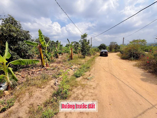 3 sào đất có Thổ cư View Hồ tại Xã Xuân Phú Huyện Ea Kar Đắk Lắk