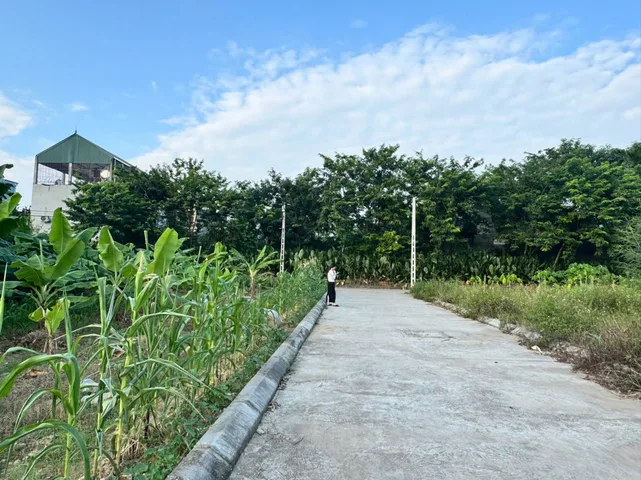 bán 9 lô đất nền từ 85m - 114m có 50m thổ cư - tại TK Liên Sơn, Thị trấn Lương Sơn