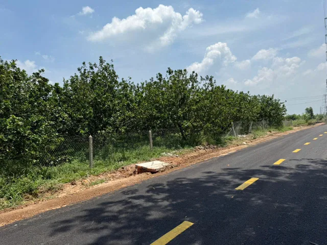 Lô sào 1100m2 kế bên Trường học Cây Trường, đường nhựa thông Quốc lộ 13 600m tại Bàu bàng - Bình Dương