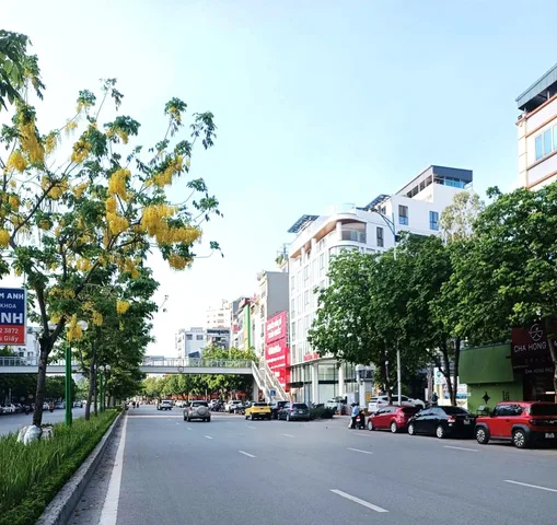 Cho thuê Nhà riêng Mặt Phố Nguyễn Văn Huyên 70m2 giá 65 triệu tại Phường Nghĩa Tân Quận Cầu Giấy Hà Nội