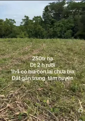 Bán Đất 2500m2 giá 625 triệu tại Xã Ea Wer Huyện Buôn Đôn Đắk Lắk