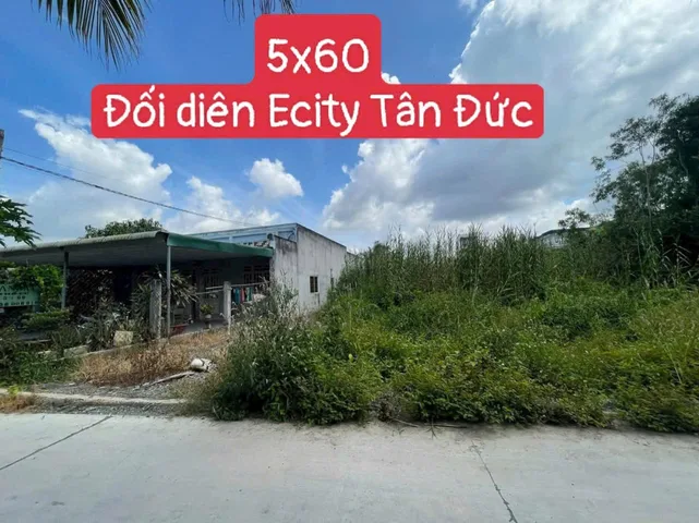 Bán Đất 300m2 có sẵn 300 m2 thổ cư giá 2.6 tỷ tại Xã Hựu Thạnh Huyện Đức Hòa Long An