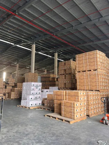 Cho thuê Kho, nhà xưởng 5656m2 giá 65 ngàn tại Đường Quốc lộ 5 Xã Chỉ Đạo Huyện Văn Lâm Hưng Yên