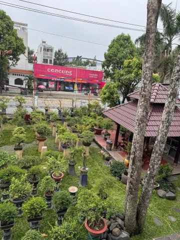 ĐƯỜNG HAI BÀ TRƯNG, P.ĐÔNG HÒA - ĐẤT MẶT TIỀN LỚN 690M2 (20X40M), CƠ HỘI HIẾM - 50 TỶ