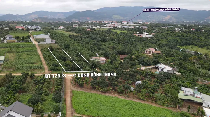 Bán Đất 2000m2 có sẵn 600 m2 thổ cư giá 3.7 tỷ tại gần trường học Đông Thanh - Nam Ban