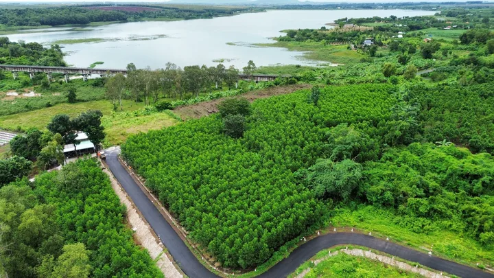 4300m2 view Đồi cao Nhìn toàn cảnh Hồ Đá Bàng.