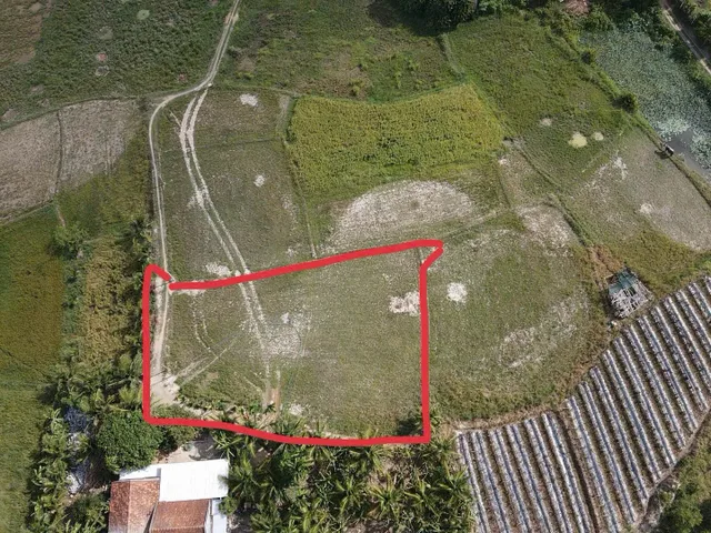 Bán Đất 991.9m2 giá 490 triệu tại Xã Ninh Lộc Thị xã Ninh Hòa Khánh Hòa
