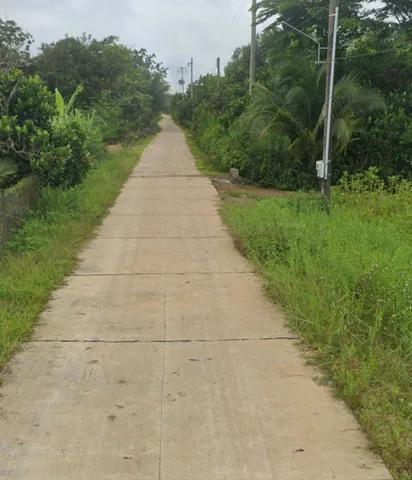 Bán Đất 6 lô liền kề có thổ cư giá tốt đầu tư tại Đường ĐT 763 Xã Xuân Bắc Huyện Xuân Lộc Đồng Nai