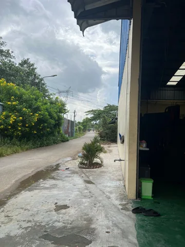 CC cho thuê xưởng 2100m2 giá 180 triệu (còn TL) tại Đường Trần Văn Giàu Xã Tân Vĩnh Lộc  TP. Hồ Chí Minh