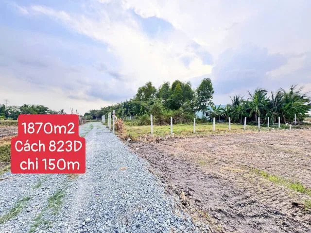 Bán Đất 1870m2 có sẵn 290 m2 thổ cư giá 3.5 tỷ tại Xã Đức Hòa Thượng Huyện Đức Hòa Long An