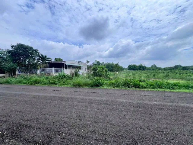 BÁN 2 SÀO ĐẤT 2.000M2 SHR GIÁ 160 TRIỆU, DÂN ĐÔNG GẦN TỈNH LỘ