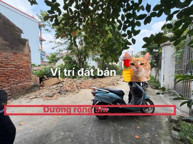 Bán Đất 68.4m2 giá 1.7 tỷ tại Xã Hương Mạc Thị xã Từ Sơn Bắc Ninh