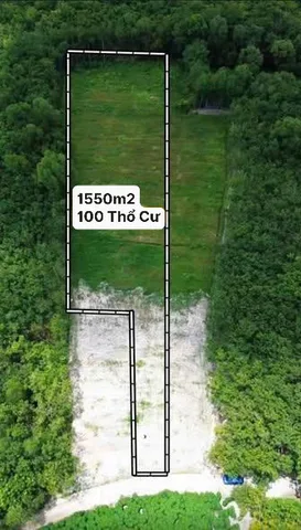 Chủ kẹt ngân hàng cần ra gấp lô đất xào sát bên Trường THCS Cây Trường(300m). Xung quanh dân cư đông, đối diện dãy phòng trọ và kiot