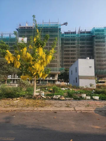 Bán Đất Sổ Riêng Thổ Cư Khu Diamond City Phường Long Bình Tân Thành phố Biên Hòa Đồng Nai