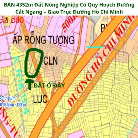 🔥 CẦN BÁN 4352m ĐẤT NN – QH ĐƯỜNG CẮT GIỮA ĐẤT, GIAO TRỤC HỒ CHÍ MINH tại Xã Thanh Phước Huyện Gò Dầu Tây Ninh