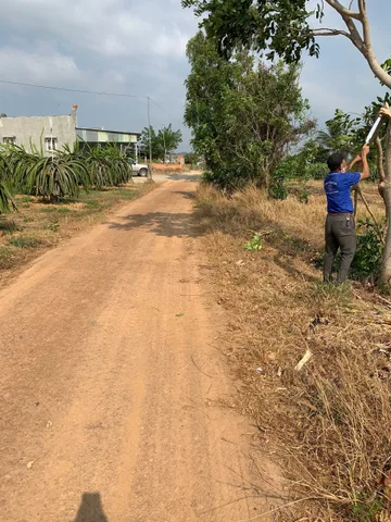 Bán Đất 10000m2 giá 2.49 tỷ tại Xã Sông Phan Huyện Hàm Tân Bình Thuận..
