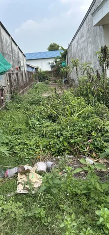 (S229) Bán Đất 197m2 giá 980 triệu tại Đường Ba Sa Xã Phước Hiệp Huyện Củ Chi TP. Hồ Chí Minh