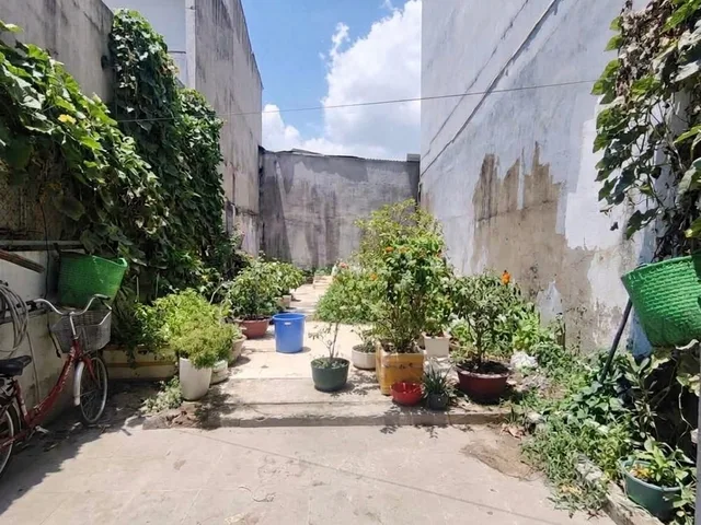 Lê Văn Lương, Đất đẹp giá rẻ, 5x13m Xây tự do, Giá 3 tỷ 7