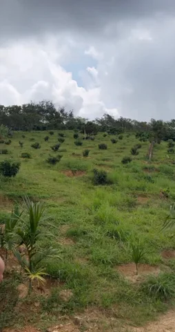 Bán Đất 17600m2 giá 1.55 tỷ tại Xã Ea Na Huyện Krông A Na Đắk Lắk